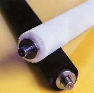 Brush Rolls